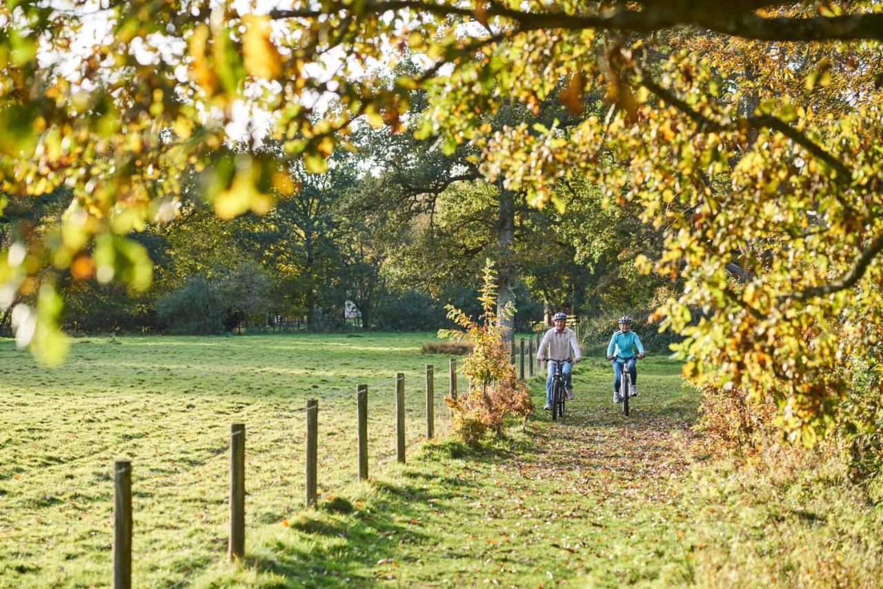 Whitemead Forest Park Hotell Lydney Eksteriør bilde