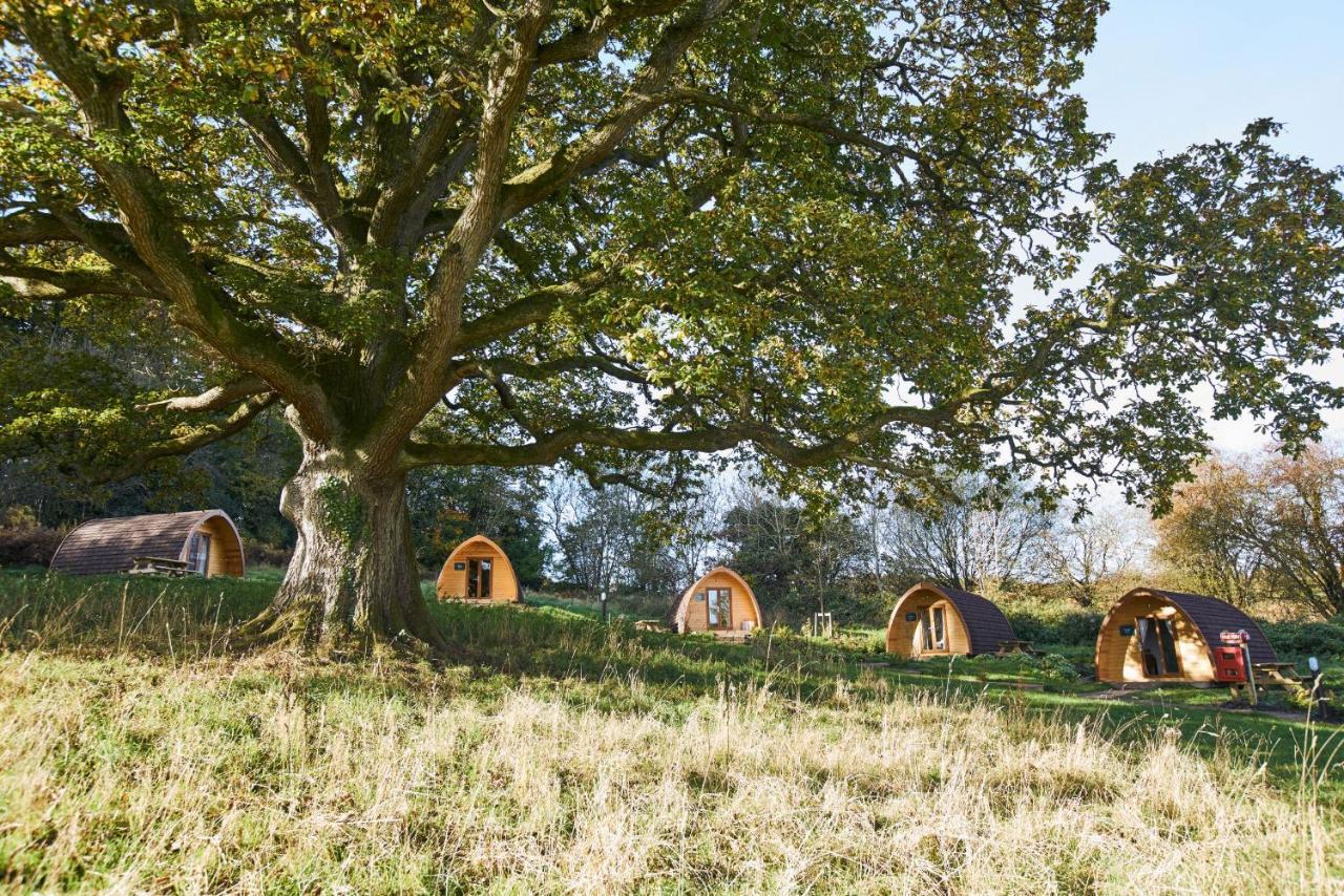 Whitemead Forest Park Hotell Lydney Eksteriør bilde